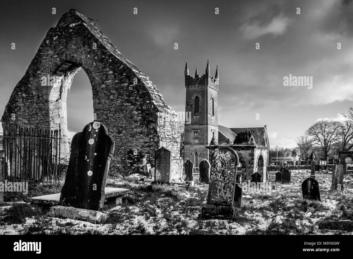 How Old Is Inosuke Hashibira in Haikyuu: His Canon Age Explained